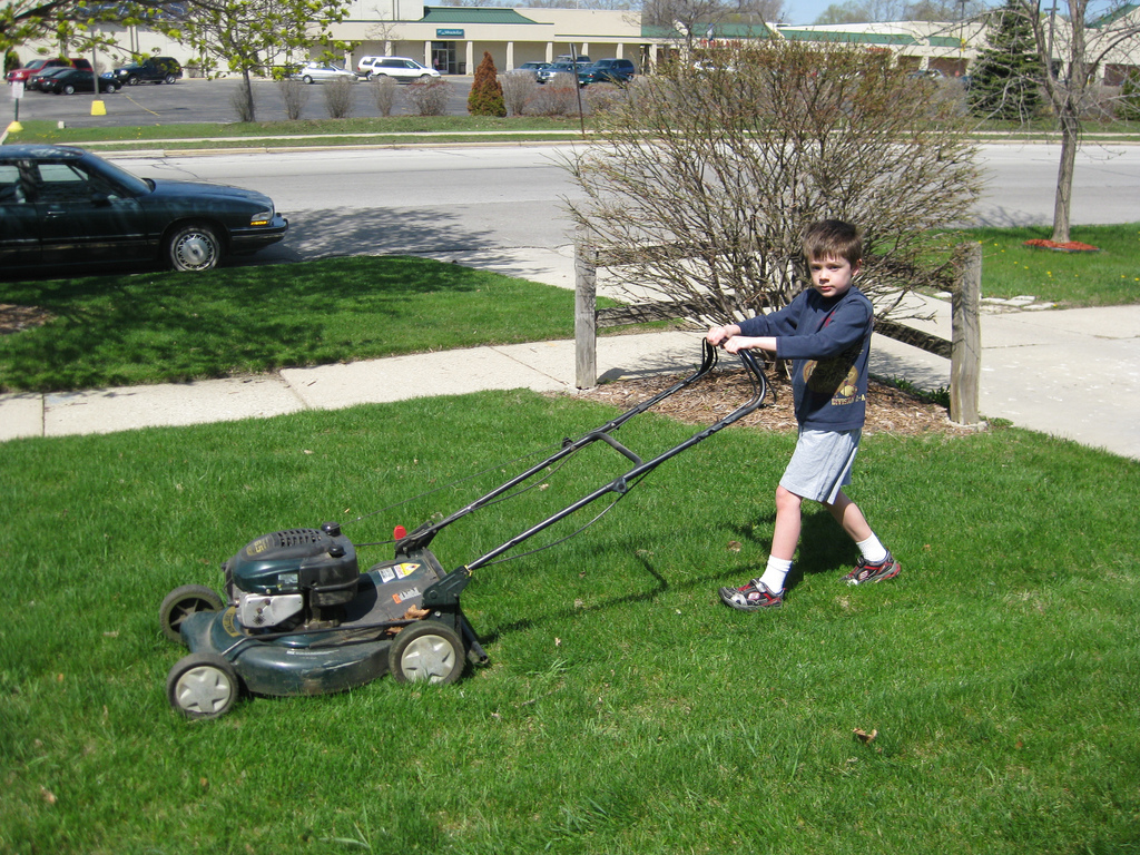 lawn-mower