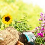 The Top 50 Gardening Blogs of 2016