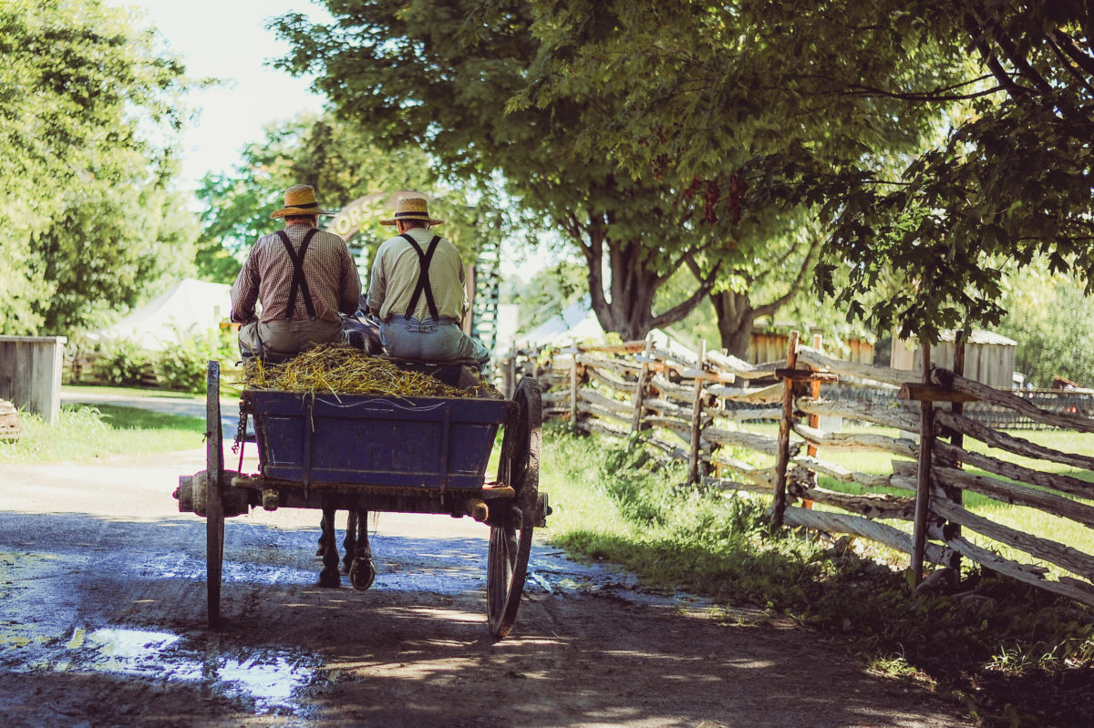 top-50-farming-agriculture-blogs-header