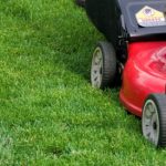 A Quick Spring Lawn Guide for Residents of Denver, CO