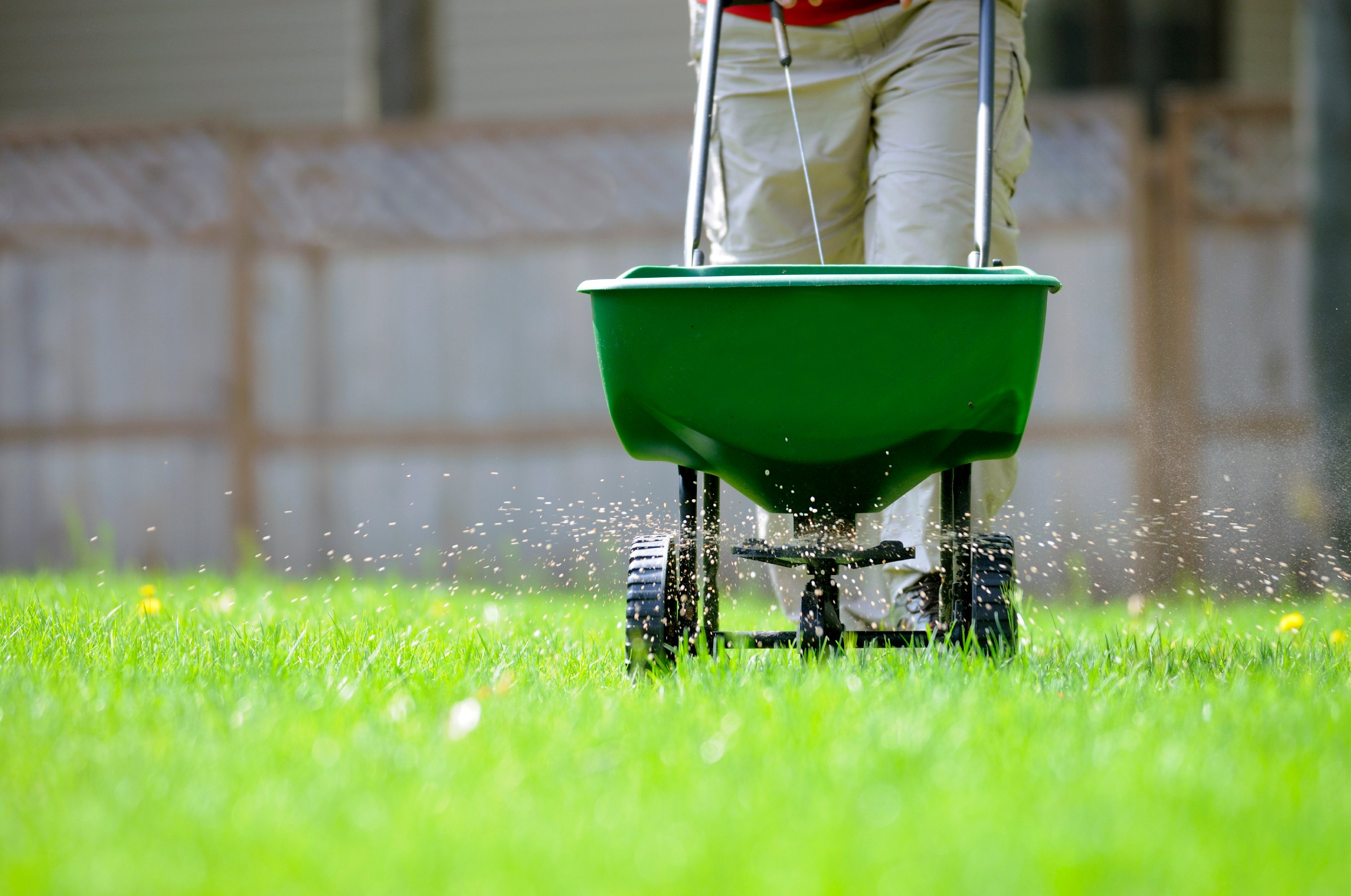 spring lawn care tips for portland, me