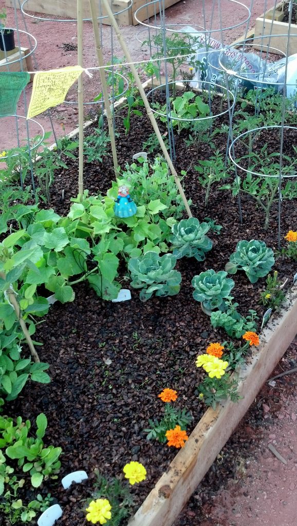 5 Mulch Types for Nashville, Tennessee, Lawns - Lawnstarter