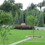 5 Glamorous Gardens in Tampa, Florida
