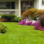 The 7 Places Where People Care Most About Lawn Care