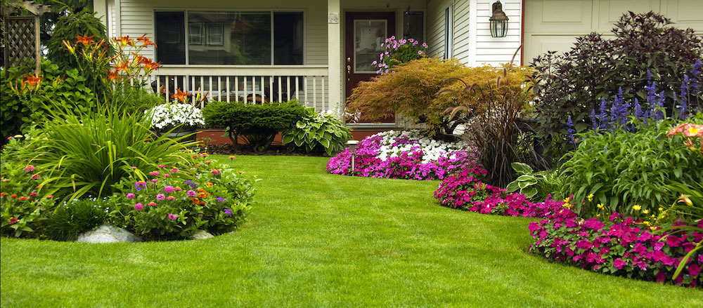 Iowa City lawn