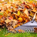 Leaf Removal Tips for Lawns in Pittsburgh, PA