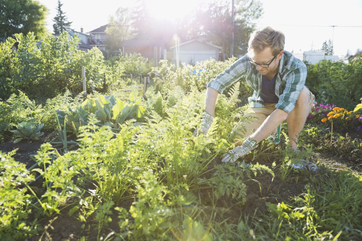 Gardener Safety