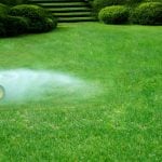 Tips for Fertilizing Your Lawn In St. Louis, MO