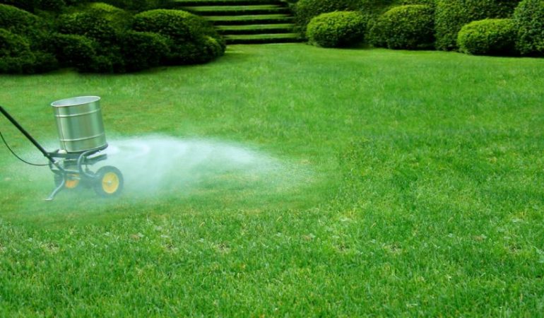 Lawnstarter - Page 9 Of 56 - The LawnStarter Lawn Care Service Blog Tips for Fertilizing Your Lawn In St. Louis, MO - Lawnstarter - Page 9 Of 56 - The LawnStarter Lawn Care Service Blog
