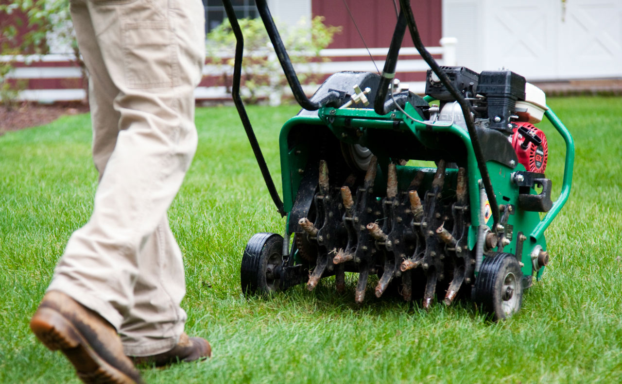 lawn aerator