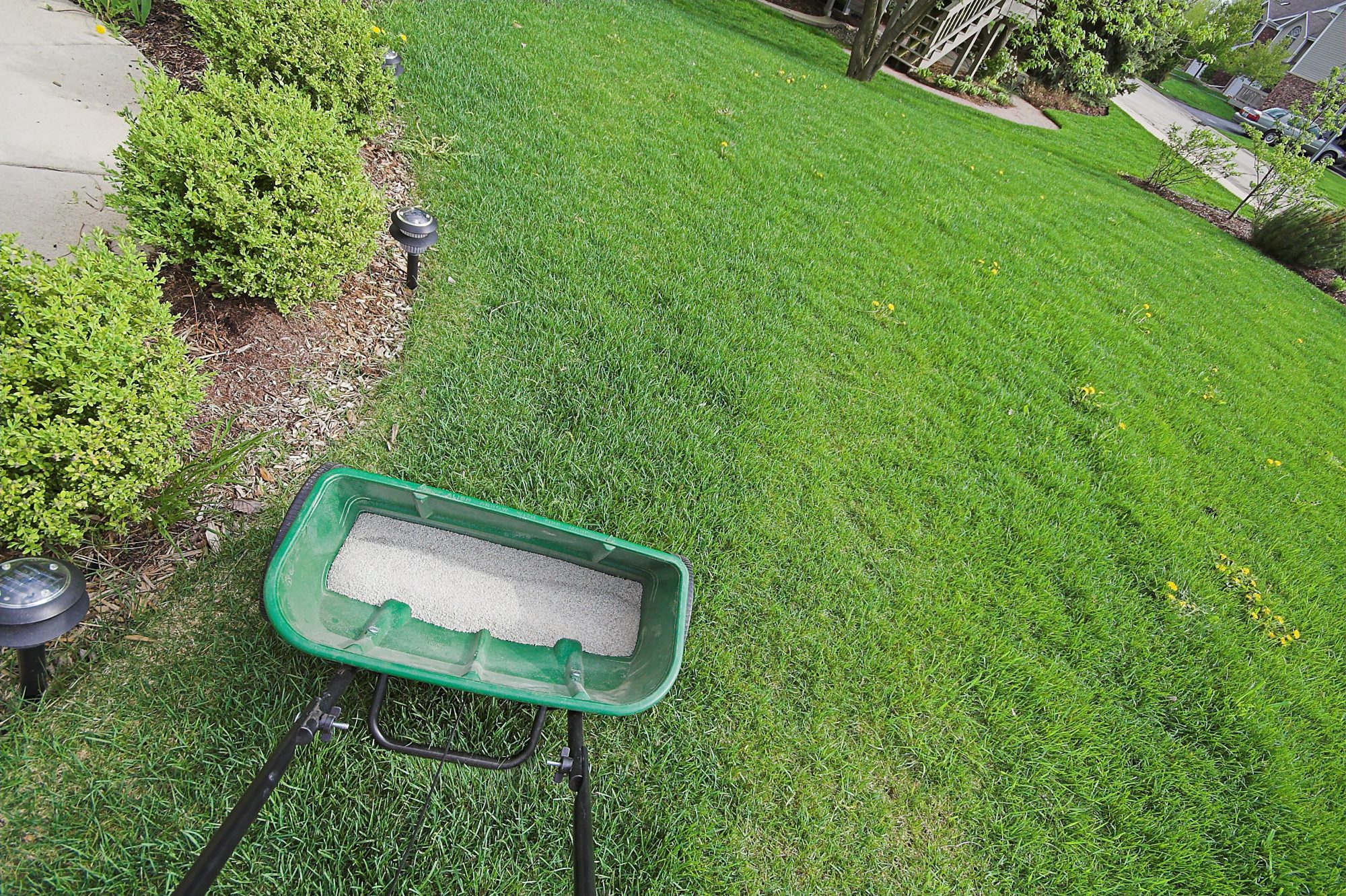 9 FAQs About Applying Starter Fertilizer to Your Lawn - Lawnstarter