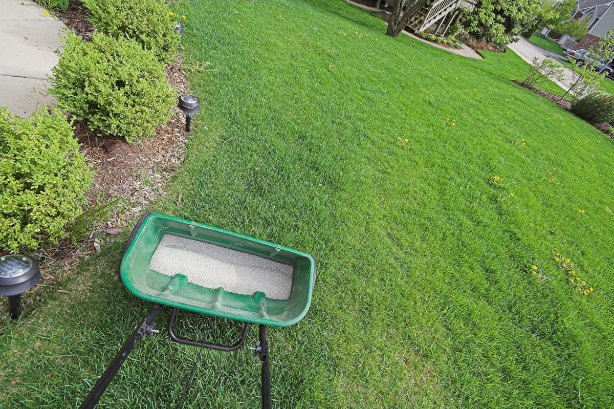 lawn fertilizing