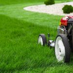 4 Grass Types for Lawns in Columbus, OH