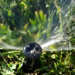 Reminder: Tips to Conserve Water on your Minneapolis Lawn