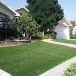 Which Types of Grass Are Best for El Paso, TX Lawns?