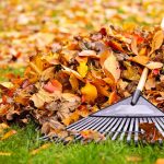Here Are 6 Fall Lawn Care Tips for Memphis, TN Homeowners