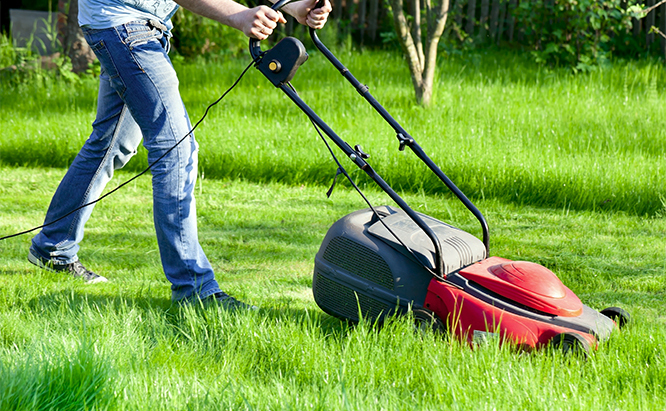 Keeping the lawn mowed