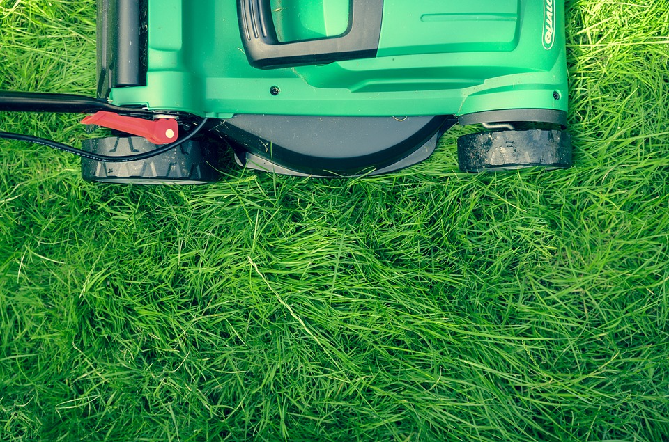 These Are 4 Grass Types That Thrive In Birmingham Lawns Lawnstarter