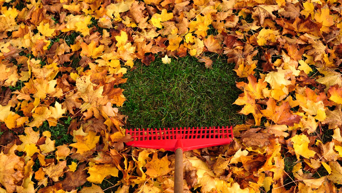 raking leaves