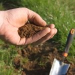 ABCs of pH: Why, How and When to Soil-Test Your Lawn