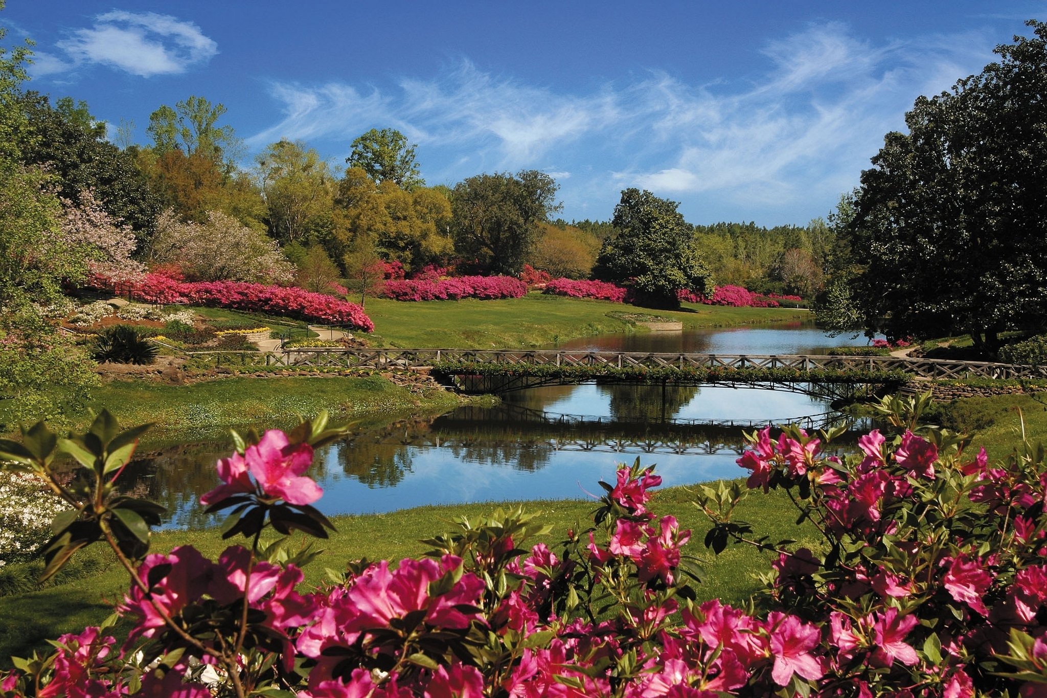 Garden in Birmingham, AL