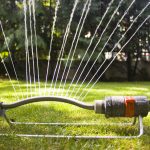 Lawn Watering Tips for Columbus, OH Homeowners