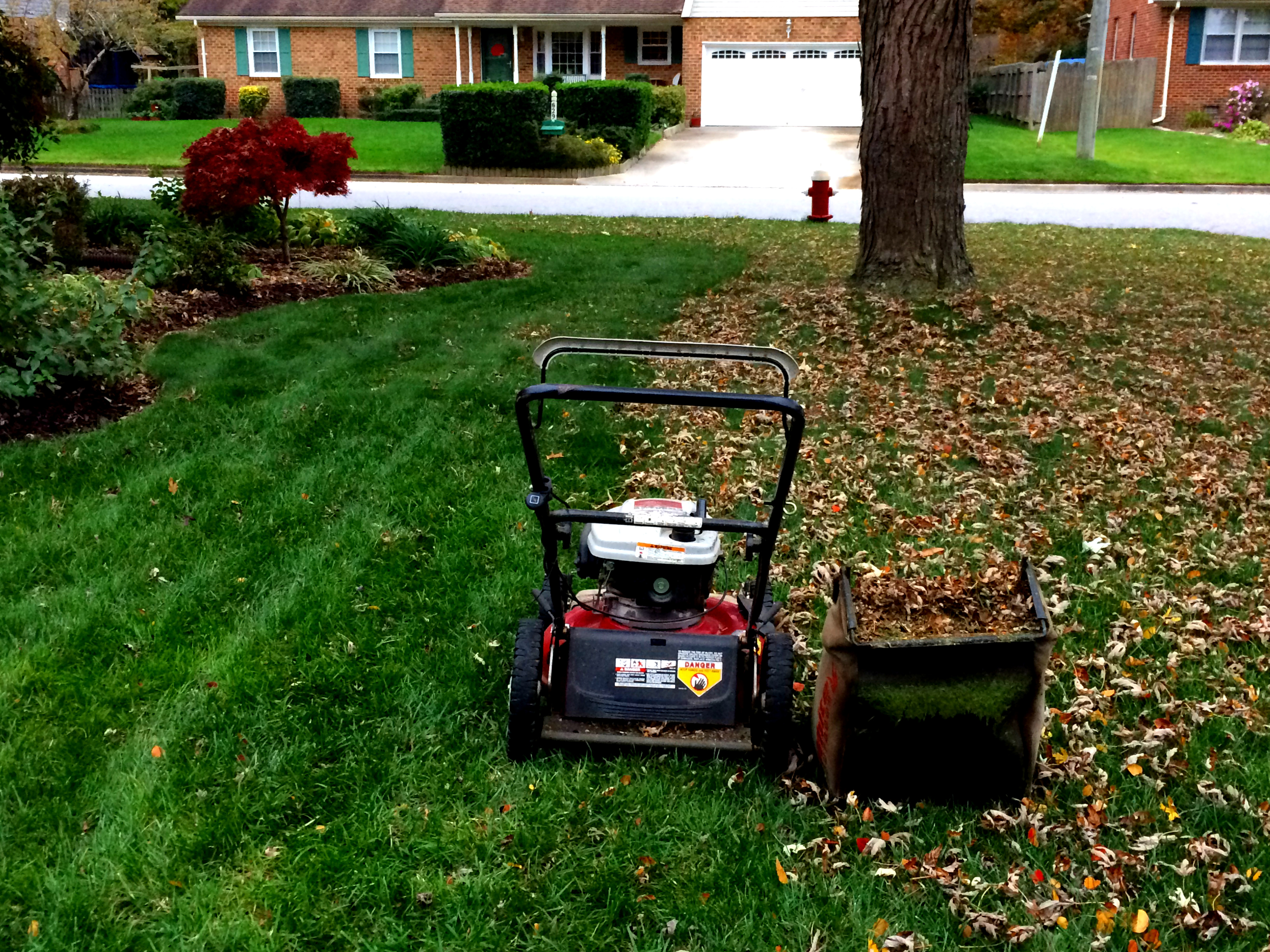 4 Fall Lawn Care Tips for Dallas, TX Homeowners