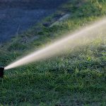5 Tips For Efficiently Using An Automatic Watering System