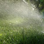 5 Tips for Watering Your Lawn in Cincinnati, OH