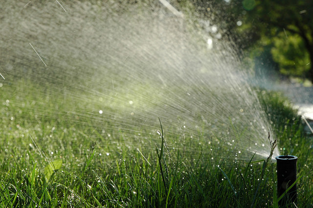 lawn sprinkler