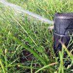 Quick Tips for Watering Your Lawn in Pittsburgh, PA