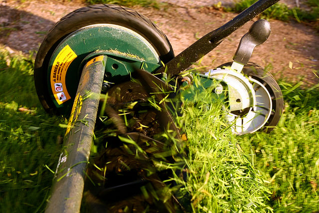 Push Mower Lawn Care Tips