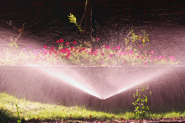 How To Plan And Install A Home Lawn Sprinkler System Lawnstarter