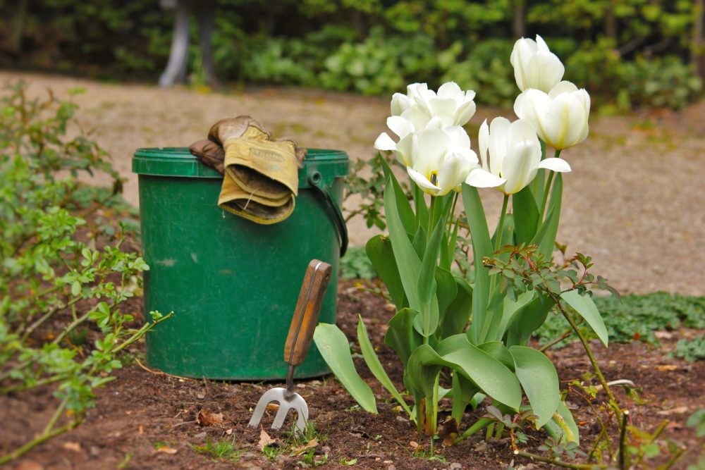 garden gear