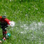 Tips For Watering Your Lawn in St. Louis, MO