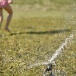 Tips for Watering Your Lawn in Philadelphia, PA