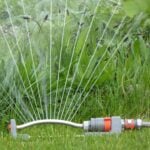 Tips for Watering Your Lawn in Cleveland, OH