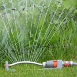 Tips for Watering Your Lawn in Cleveland, OH