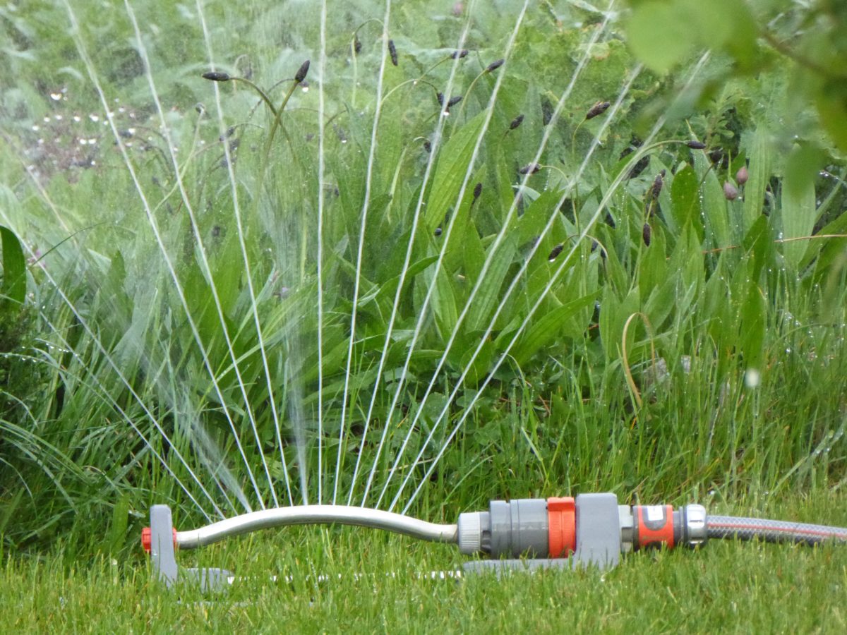 garden sprinkler