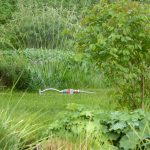 6 Watering Tips for Your Hartford, Conn., Lawn