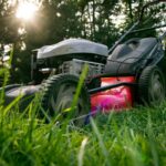 6 Spring Lawn Care Tips for Homeowners in El Paso, TX