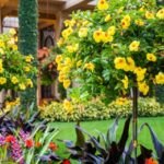 4 Glamorous Botanical Gardens in Philadelphia, PA