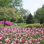 10 Glamorous Gardens in Baltimore, MD