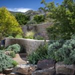 The Rising Trend of Vertical Gardens