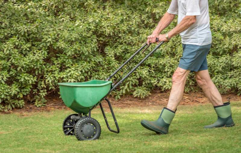 Man seeding and fertilizing residential backyard lawn with manual grass seed spreader.