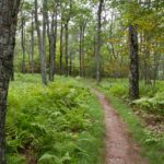 7 Places To Go Hiking Near Richmond, VA