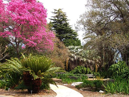 7 Glamorous Gardens In Los Angeles Ca Lawnstarter