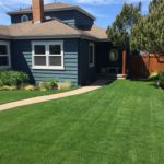 4 Spring Lawn Care Tips for a Gorgeous Seattle, WA Lawn