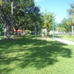 Summer Lawn Care Tips for Miami, FL Homeowners