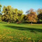 4 Fall Lawn Care Tips for Milwaukee, WI